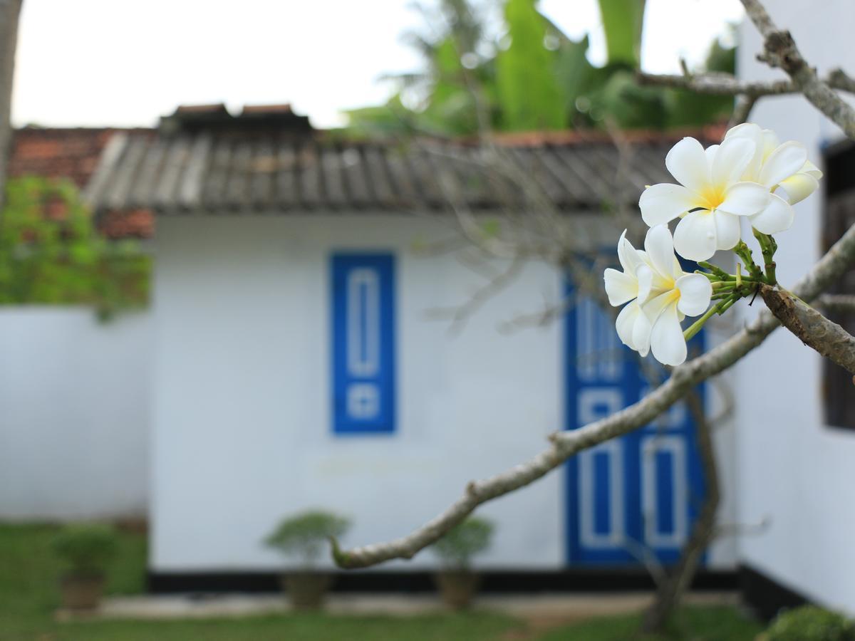 Hotel Blooming Polhena Exterior foto